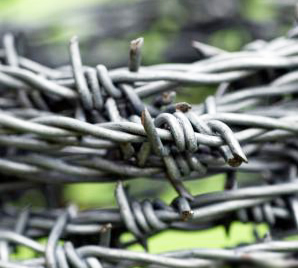 PVC Barbed Wire Malaysia
